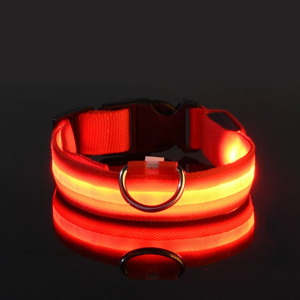 Illuminating Nylon Dog Leash and Collar