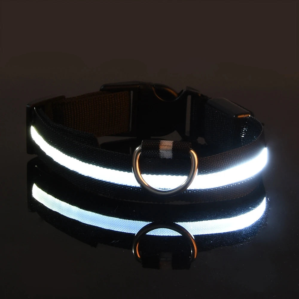 Illuminating Nylon Dog Leash and Collar