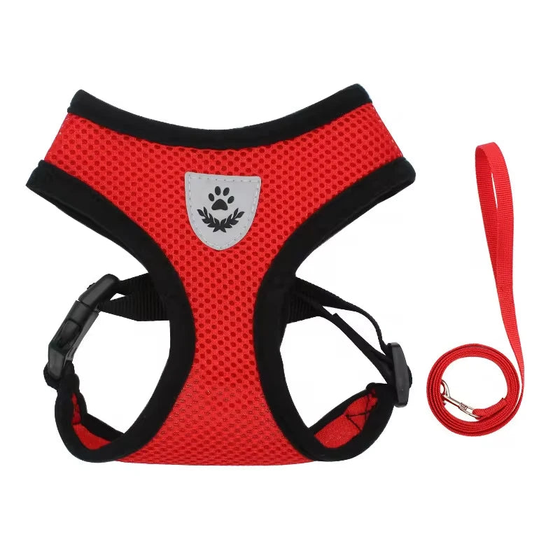 Cat & Dog Adventure Harness