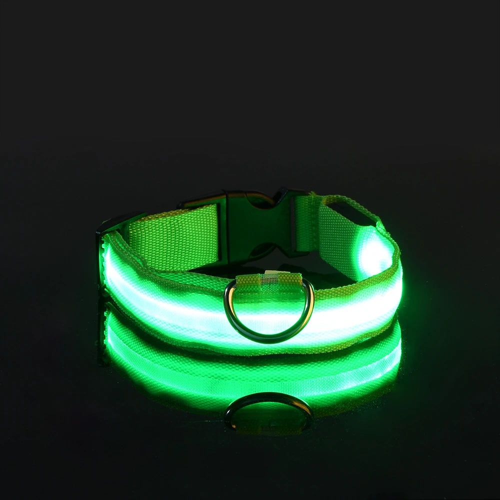 Illuminating Nylon Dog Leash and Collar