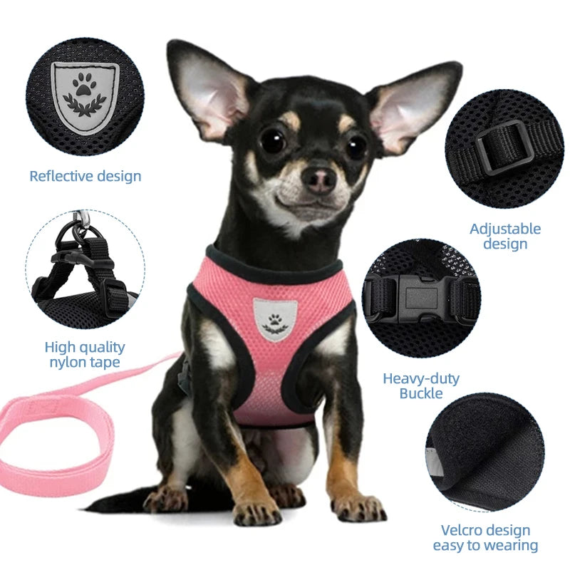 Adjustable Mesh Cat & Dog Harness