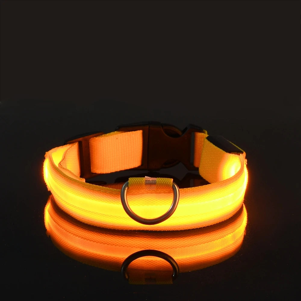 Illuminating Nylon Dog Leash and Collar