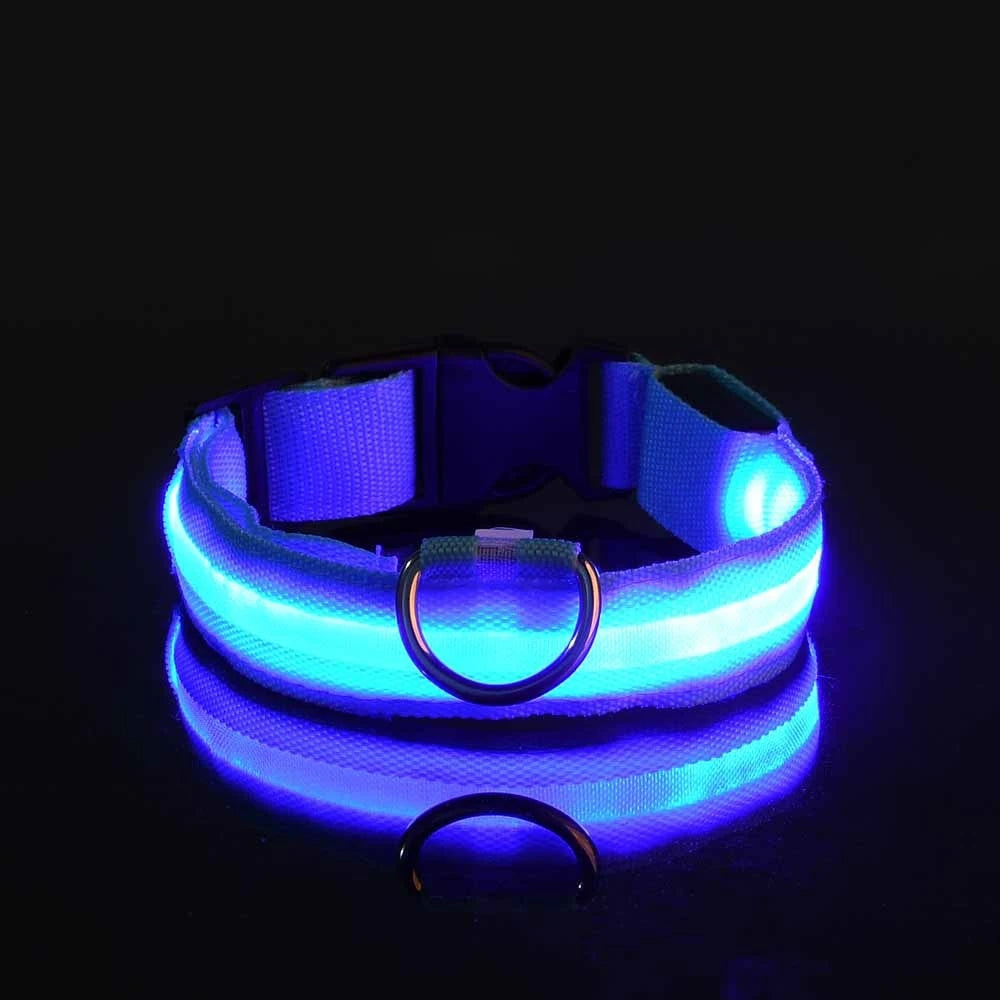 Illuminating Nylon Dog Leash and Collar