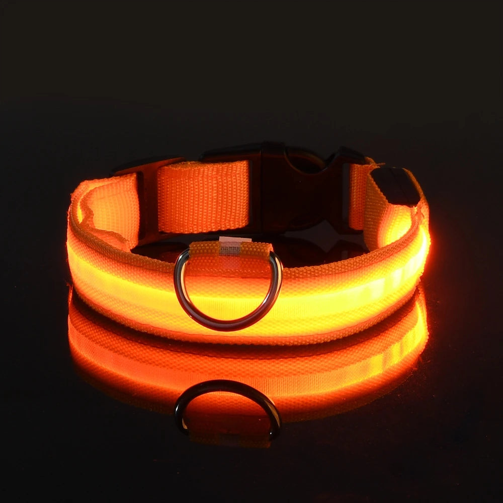 Illuminating Nylon Dog Leash and Collar