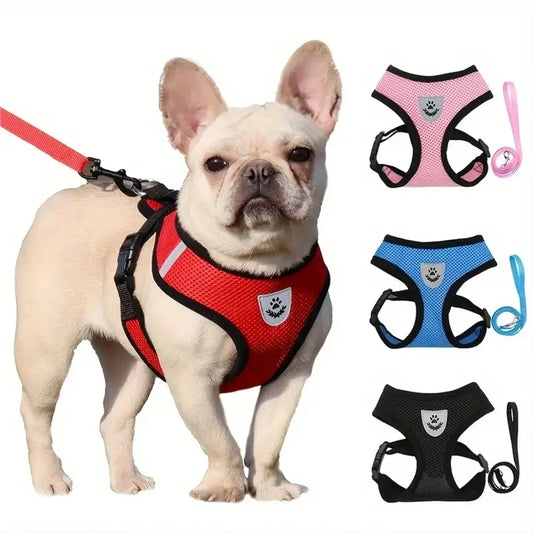 Cat & Dog Adventure Harness