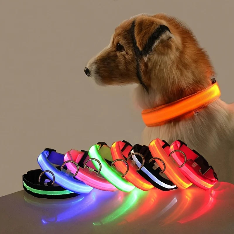 Illuminating Nylon Dog Leash and Collar