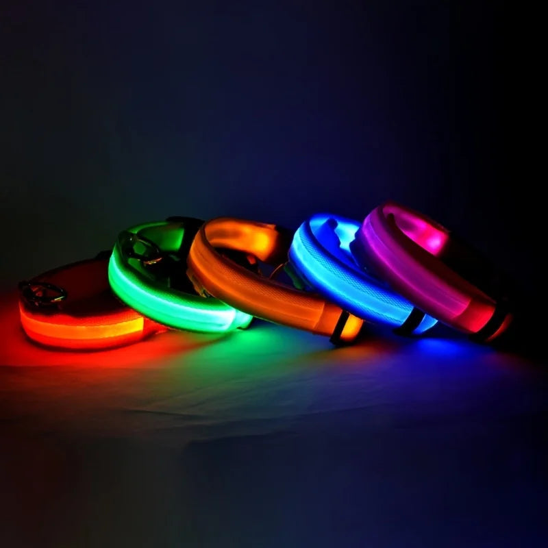 Illuminating Nylon Dog Leash and Collar