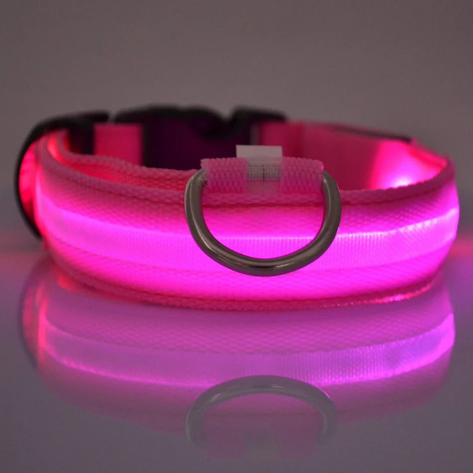 Illuminating Nylon Dog Leash and Collar