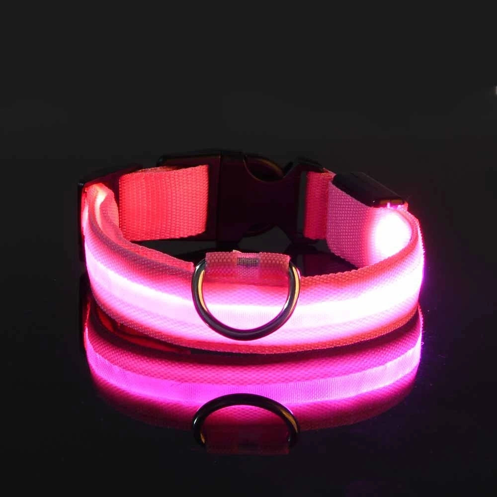 Illuminating Nylon Dog Leash and Collar