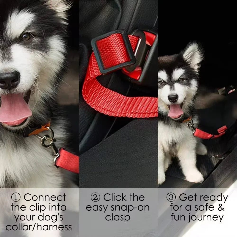 Adjustable Dog & Cat Car Harness with Seat Belt Strap